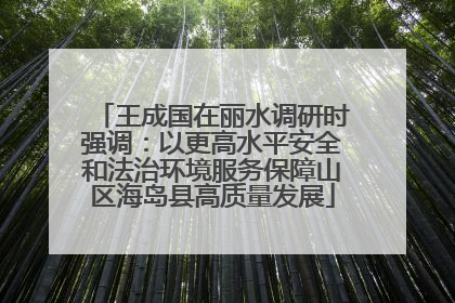 王成国在丽水调研时强调：以更高水平安全和法治环境服务保障山区海岛县高质量发展