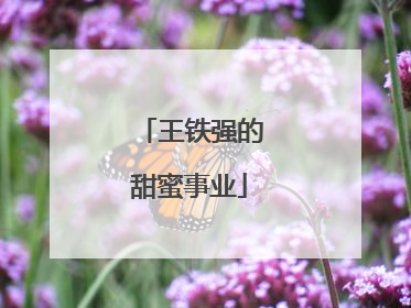 王铁强的甜蜜事业