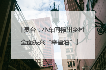 灵台：小车间榨出乡村全面振兴“幸福油”