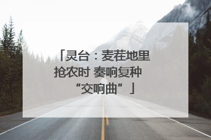 灵台：麦茬地里抢农时 奏响复种“交响曲”