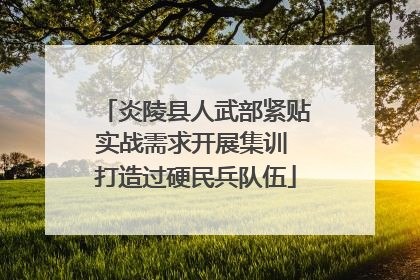 炎陵县人武部紧贴实战需求开展集训 打造过硬民兵队伍