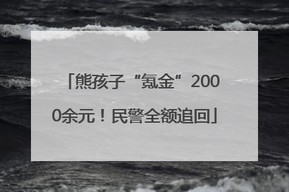 熊孩子“氪金”2000余元！民警全额追回