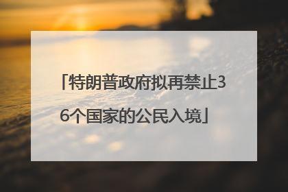 特朗普政府拟再禁止36个国家的公民入境