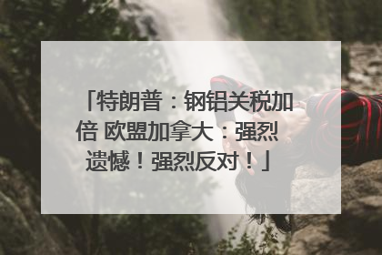 特朗普：钢铝关税加倍 欧盟加拿大：强烈遗憾！强烈反对！