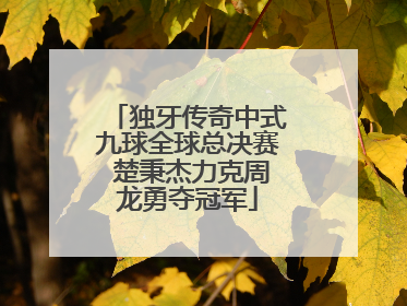 独牙传奇中式九球全球总决赛 楚秉杰力克周龙勇夺冠军
