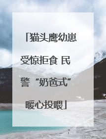 猫头鹰幼崽受惊拒食 民警“奶爸式”暖心投喂