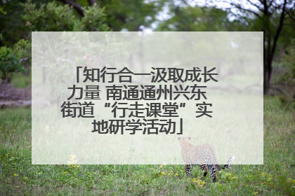 知行合一汲取成长力量 南通通州兴东街道“行走课堂”实地研学活动
