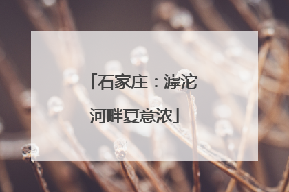 石家庄：滹沱河畔夏意浓