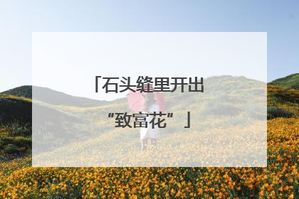 石头缝里开出“致富花”