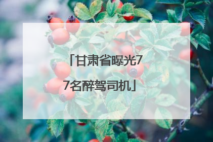 甘肃省曝光77名醉驾司机