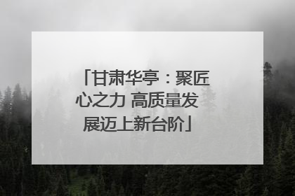 甘肃华亭：聚匠心之力 高质量发展迈上新台阶