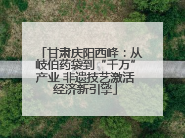 甘肃庆阳西峰：从岐伯药袋到“千万”产业 非遗技艺激活经济新引擎