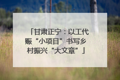 甘肃正宁：以工代赈“小项目”书写乡村振兴“大文章”