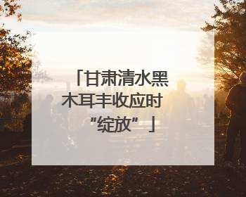 甘肃清水黑木耳丰收应时“绽放”