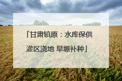甘肃镇原：水库保供 灌区浇地 旱塬补种