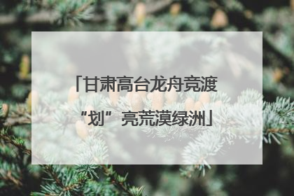 甘肃高台龙舟竞渡“划”亮荒漠绿洲