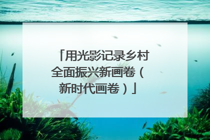 用光影记录乡村全面振兴新画卷（新时代画卷）