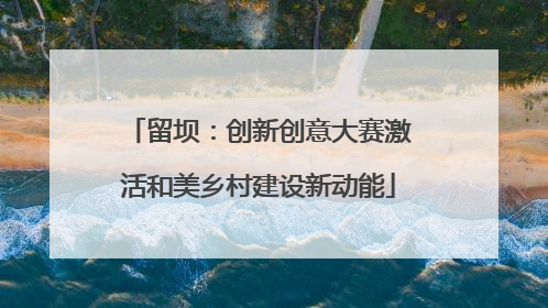 留坝：创新创意大赛激活和美乡村建设新动能