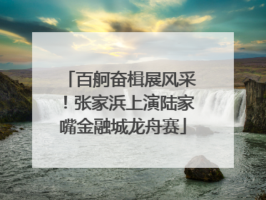 百舸奋楫展风采！张家浜上演陆家嘴金融城龙舟赛
