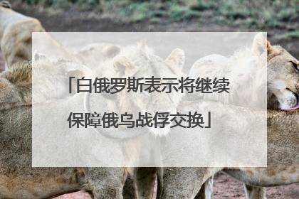 白俄罗斯表示将继续保障俄乌战俘交换