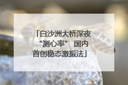 白沙洲大桥深夜“测心率” 国内首创稳态激振法