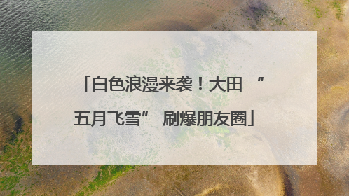 白色浪漫来袭！大田 “五月飞雪” 刷爆朋友圈