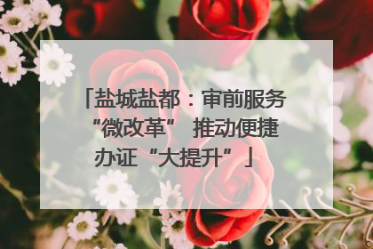 盐城盐都：审前服务“微改革” 推动便捷办证“大提升”