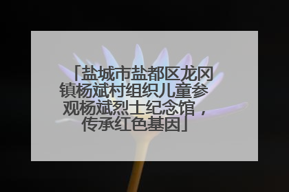 盐城市盐都区龙冈镇杨斌村组织儿童参观杨斌烈士纪念馆，传承红色基因