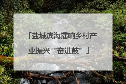 盐城滨海擂响乡村产业振兴“奋进鼓”