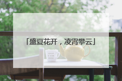 盛夏花开，凌霄攀云