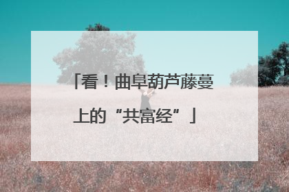 看！曲阜葫芦藤蔓上的“共富经”