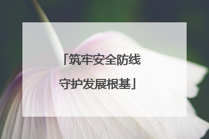 筑牢安全防线 守护发展根基