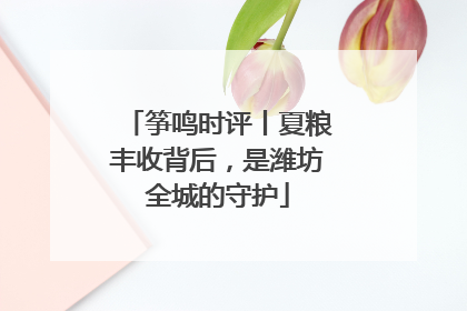 筝鸣时评丨夏粮丰收背后，是潍坊全城的守护