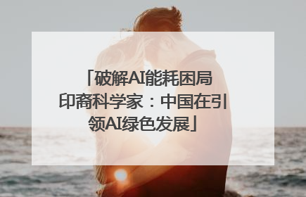 破解AI能耗困局 印裔科学家：中国在引领AI绿色发展