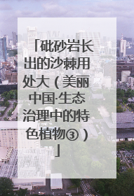砒砂岩长出的沙棘用处大（美丽中国·生态治理中的特色植物③）