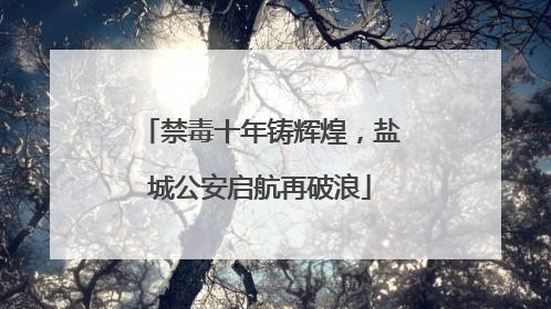 禁毒十年铸辉煌，盐城公安启航再破浪