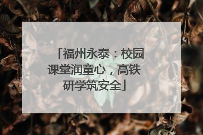 福州永泰：校园课堂润童心，高铁研学筑安全