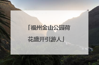 福州金山公园荷花盛开引游人