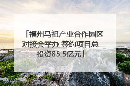 福州马祖产业合作园区对接会举办 签约项目总投资85.5亿元