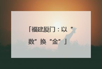 福建厦门：以“数”换“金”