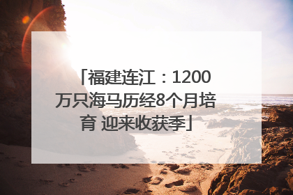 福建连江：1200万只海马历经8个月培育 迎来收获季