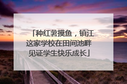 种红薯摸鱼，镇江这家学校在田间池畔见证学生快乐成长