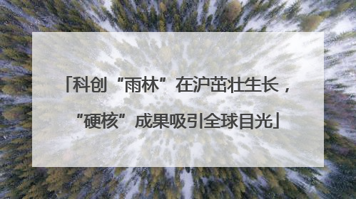 科创“雨林”在沪茁壮生长，“硬核”成果吸引全球目光