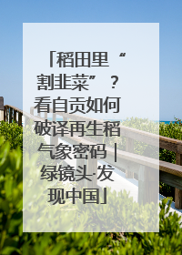 稻田里“割韭菜”？看自贡如何破译再生稻气象密码｜绿镜头·发现中国