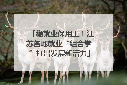 稳就业保用工！江苏各地就业“组合拳”打出发展新活力