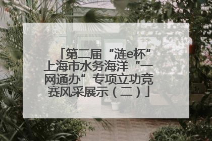 第二届“涟e杯”上海市水务海洋“一网通办”专项立功竞赛风采展示（二）