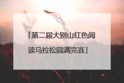 第二届大别山红色阅读马拉松圆满完赛