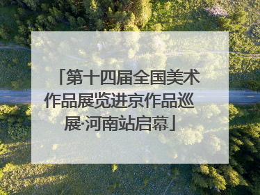 第十四届全国美术作品展览进京作品巡展·河南站启幕