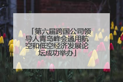第六届跨国公司领导人青岛峰会通用航空和低空经济发展论坛成功举办
