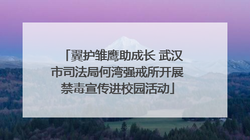 翼护雏鹰助成长 武汉市司法局何湾强戒所开展禁毒宣传进校园活动